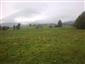 Nížinné a podhorské kosné lúky (23.9.2014)